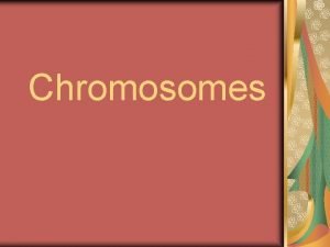 Chromosomes Inheriting Traits We inherit many of our