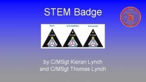 Civil air patrol stem badge