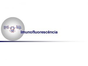 Imunofluorescncia Fluorocromo Microscpio de Imunofluorescncia Filtro barreira 519