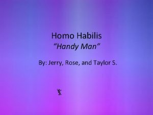 Why is homo habilis called handyman