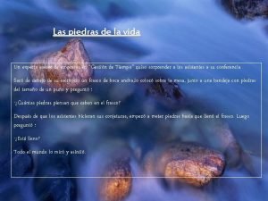 Experto en piedras Experto en piedras