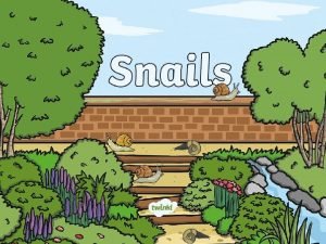 Parts of a snail diagram Parts of a snail diagram