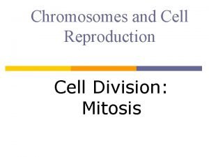 Chromosomes and Cell Reproduction Cell Division Mitosis Chromosomes