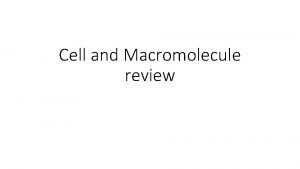 Cell and Macromolecule review 1 Which macromolecule provides