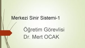 Merkezi Sinir Sistemi1 retim Grevlisi Dr Mert OCAK