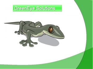 Green Eye Solutions Zaslon Karakteristika LCD Display Tip