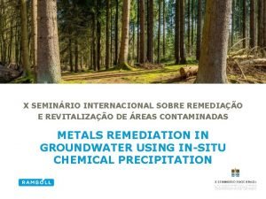 X SEMINRIO INTERNACIONAL SOBRE REMEDIAO E REVITALIZAO DE