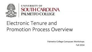 Electronic Tenure and Promotion Process Overview Palmetto College