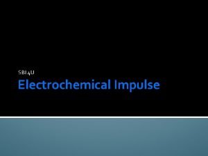 SBI 4 U Electrochemical Impulse Some Interesting Facts