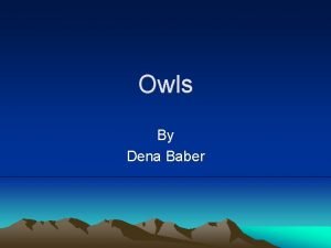 Owls By Dena Baber Introduction Owls are a