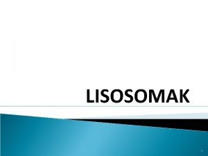 LISOSOMAK 1 Lisosomak Zelula eukariotikoen beste organuluetako batzuk