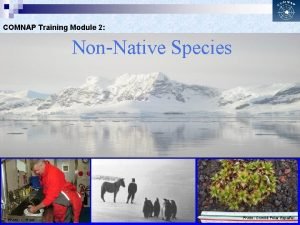 COMNAP Training Module 2 NonNative Species Photo L