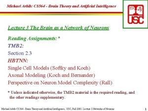Michael Arbib CS 564 Brain Theory and Artificial