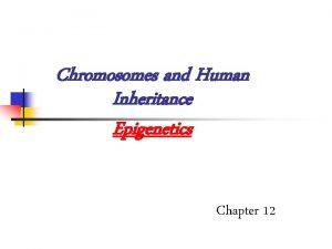 Chromosomes and Human Inheritance Epigenetics Chapter 12 Karyotype
