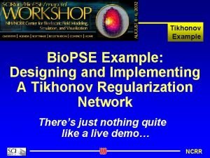 Tikhonov Example Bio PSE Example Designing and Implementing