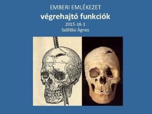 EMBERI EMLKEZET vgrehajt funkcik 2015 16 1 Szllsi