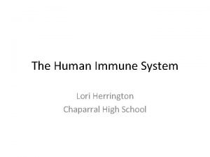 The Human Immune System Lori Herrington Chaparral High