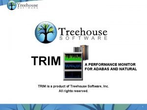 TRIM A PERFORMANCE MONITOR FOR ADABAS AND NATURAL