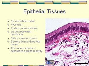 Avascular in epithelial tissue