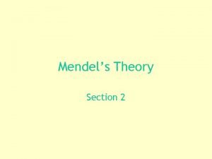 Mendels theory Mendels theory