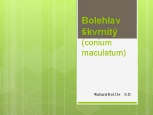 Bolehlav kvrnit conium maculatum Richard Kak III D