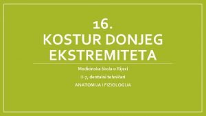 16 KOSTUR DONJEG EKSTREMITETA Medicinska kola u Rijeci