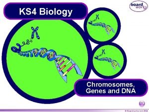 KS 4 Biology Chromosomes Genes and DNA Boardworks