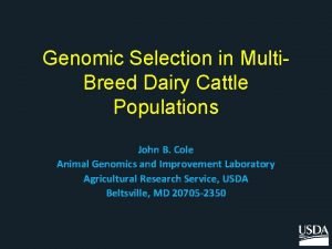 Genomic Selection in Multi Breed Dairy Cattle Populations