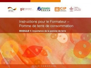 Instructions pour le Formateur Pomme de terre de