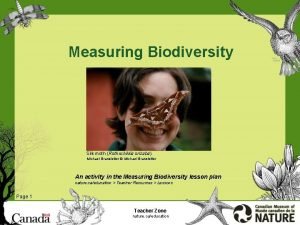Why biodiversity is important