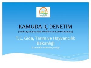 KAMUDA DENETM 5018 sayl Kamu Mali Ynetimi ve