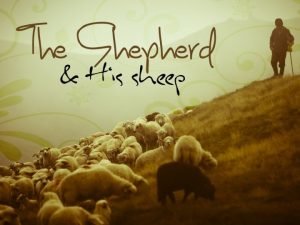 THE MESSAGE OF THE SHEPHERDS Luke 2 15