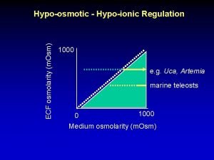 ECF osmolarity m Osm Hypoosmotic Hypoionic Regulation 1000