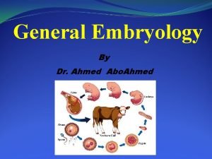 General Embryology By Dr Ahmed Abo Ahmed B