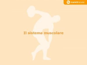 Il sistema muscolare In movimento Marietti Scuola 2010