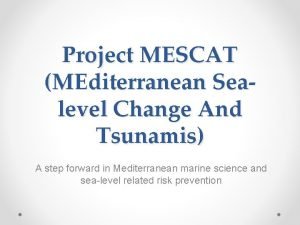 Project MESCAT MEditerranean Sealevel Change And Tsunamis A