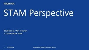STAM Perspective Bradford G Van Treuren 12 November