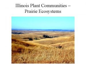 Illinois Plant Communities Prairie Ecosystems Influence of Fire