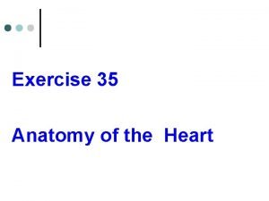 Exercise 35 Anatomy of the Heart Gross anatomy