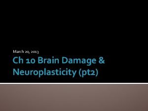 March 20 2013 Ch 10 Brain Damage Neuroplasticity