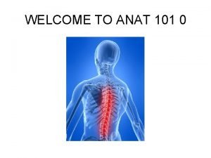 Anat 101