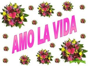 Amo la vida porque