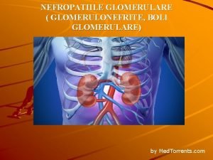 NEFROPATIILE GLOMERULARE GLOMERULONEFRITE BOLl GLOMERULARE by Med Torrents