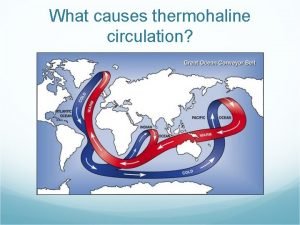 What causes thermohaline circulation Check Your Slide Notes