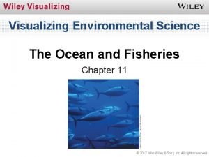 Visualizing environmental science solution manual