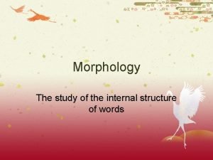 Internal morphology definition