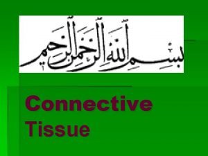Fibroelastic connective tissue Fibroelastic connective tissue