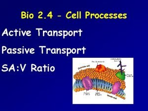 Bio 2 4 Cell Processes Active Transport Passive
