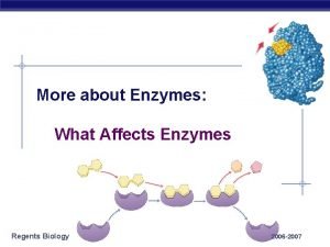 More about Enzymes What Affects Enzymes Regents Biology