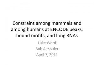 Constraint among mammals and among humans at ENCODE